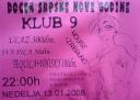 Pancevo docek Srpske Nove godine klub 9